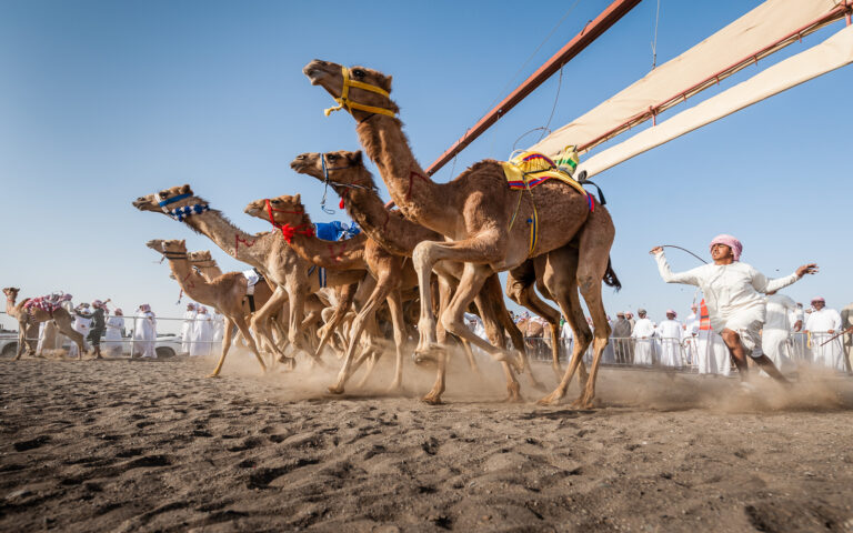 Sanjoy Sengupta - 9-camel-race-1